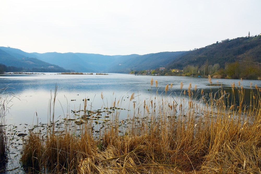 NATURE PHOTOS AT LAKE FIMON, VICENZA, ITALY