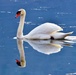 NATURE PHOTOS AT LAKE FIMON, VICENZA, ITALY