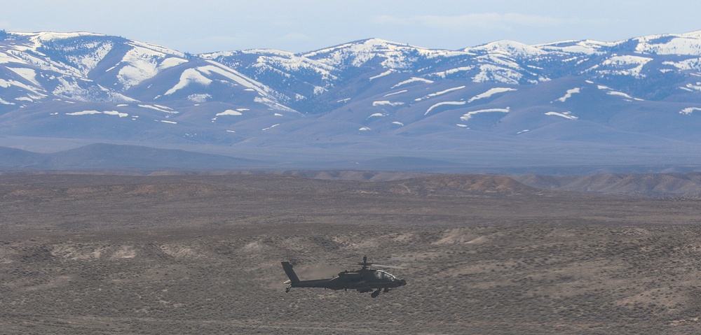 Tigersharks Conduct Joint Aerial Gunnery in Idaho