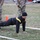 Best Warrior Competition 2022