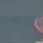 Coast Guard repatriates 44 people to Cuba