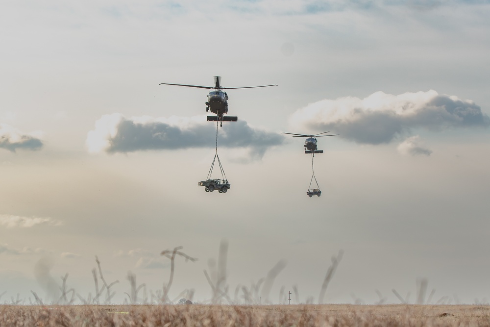 3rd Battalion, 227th Aviation Regiment conducts sling load and air assault operations with the Royal Netherlands 11th Infantry Brigade during Rapid Falcon 2022