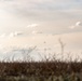 3rd Battalion, 227th Aviation Regiment conducts sling load and air assault operations with the Royal Netherlands 11th Infantry Brigade during Rapid Falcon 2022