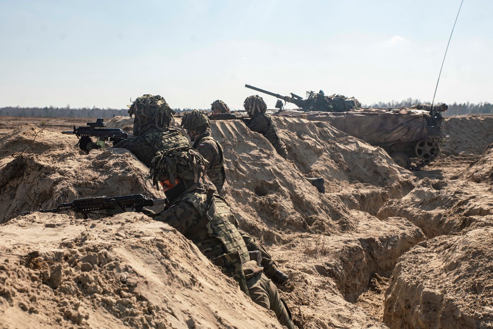 Paratroopers and Polish soldiers conduct CALFEX