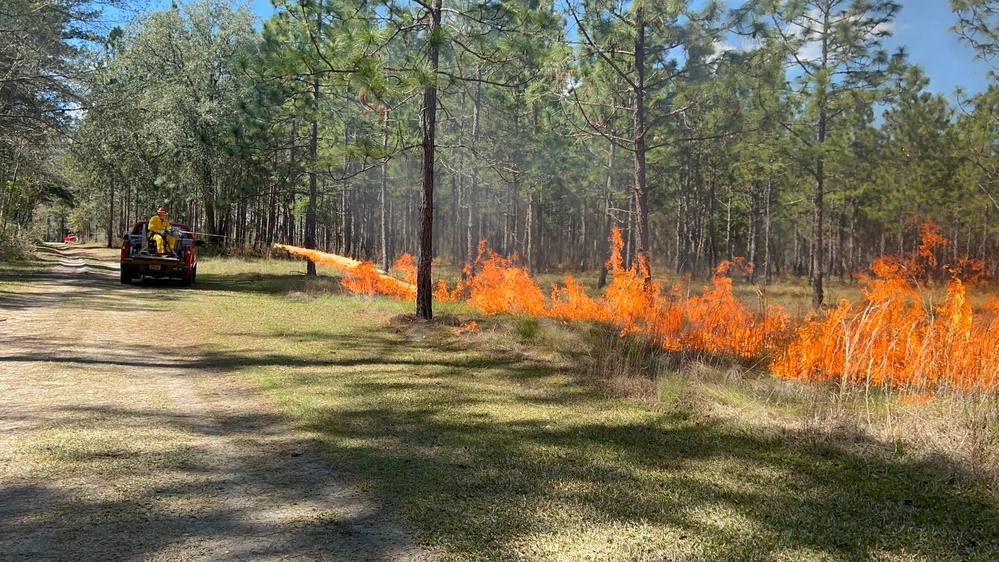 Burn baby, burn: committee gets hot, learns environmental readiness
