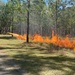 Burn baby, burn: committee gets hot, learns environmental readiness