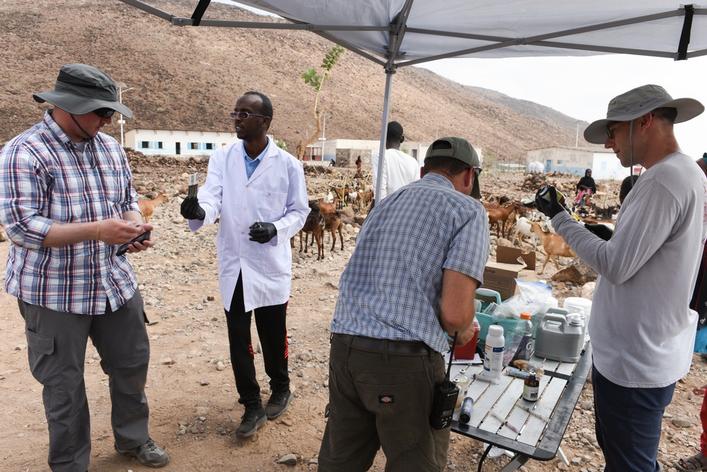 CA Soldiers, Djiboutians work together to treat livestock