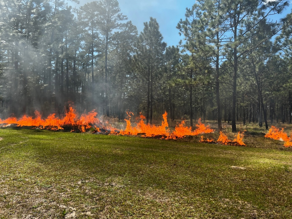 Burn baby, burn: committee gets hot, learns environmental readiness