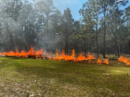 Burn baby, burn: committee gets hot, learns environmental readiness