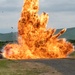 Flight Line/EOD Images, Travis AFB