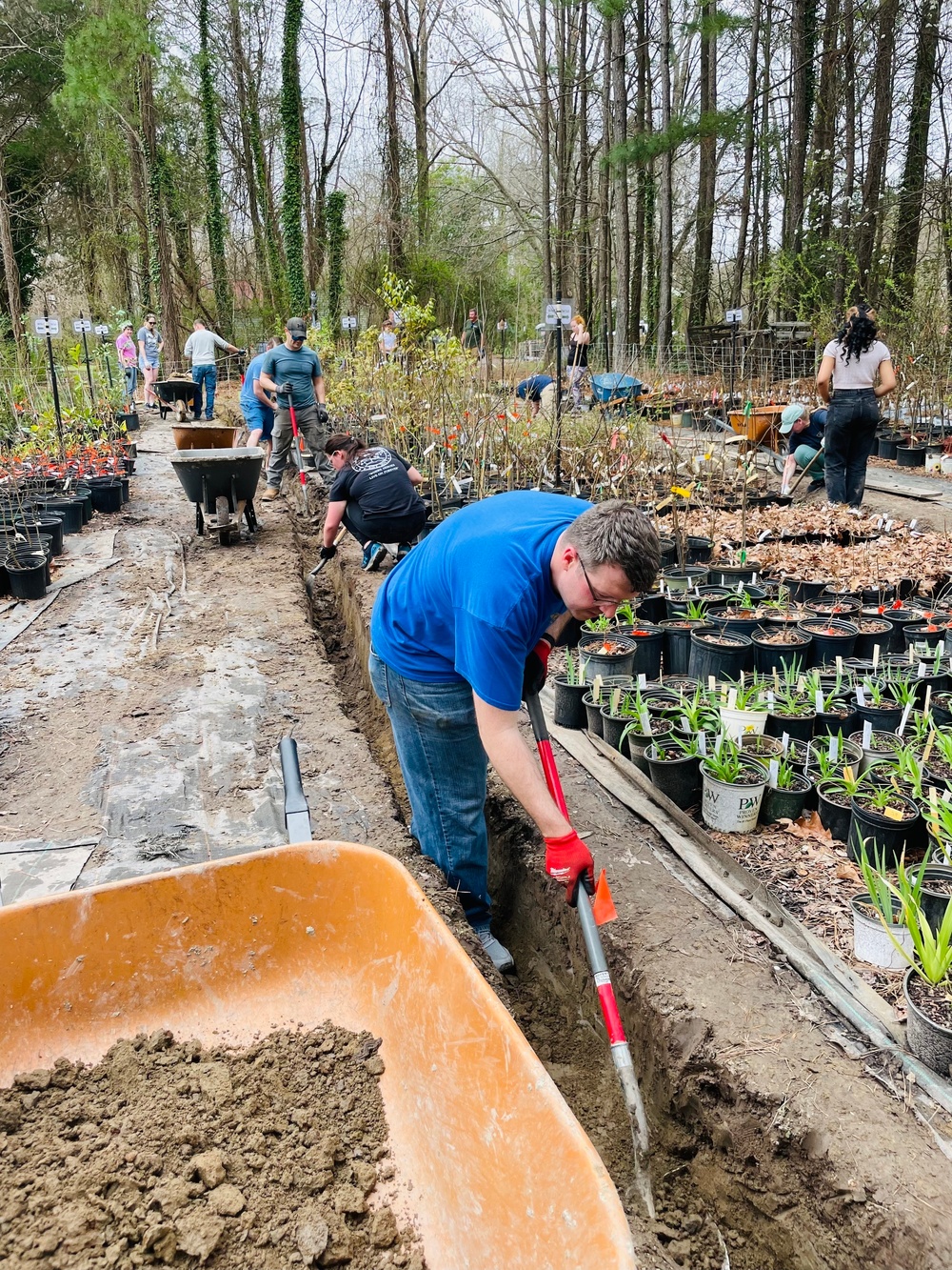 Naval Support Activity Hampton Roads Sailors Volunteer at Chesapeake Arboretum