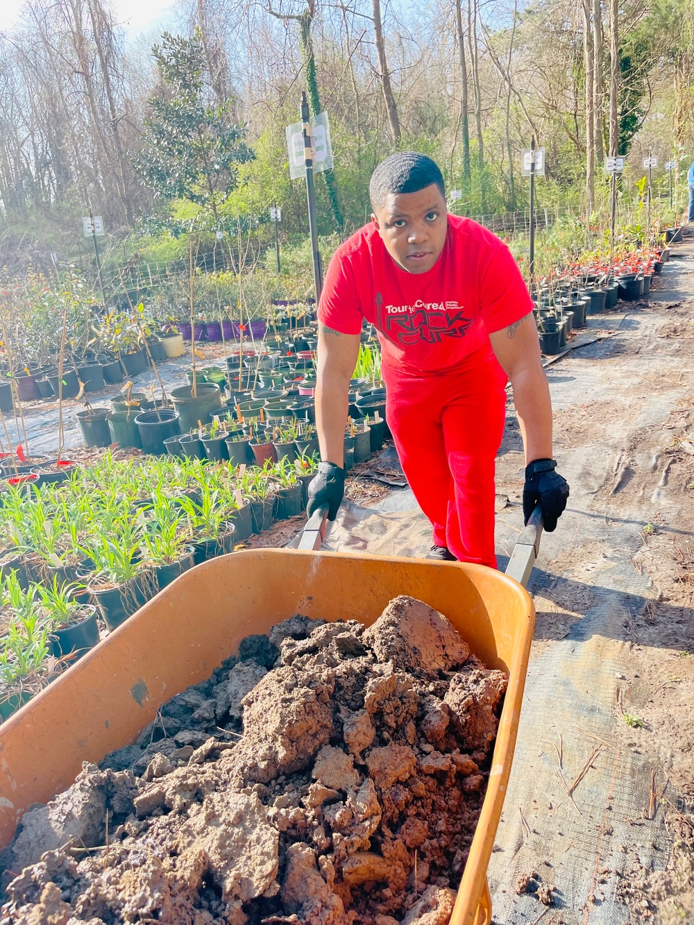 Naval Support Activity Hampton Roads Sailors Volunteer at Chesapeake Arboretum