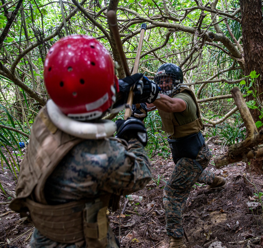 Ready, Execute!: Marine Corps Martial Arts Instructor Course