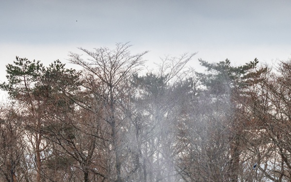 Military Mythbusters