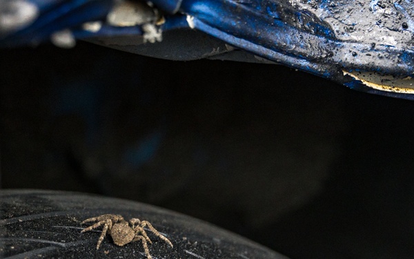 Military Mythbusters