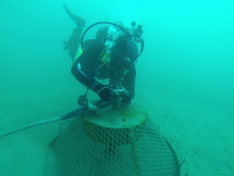 Exercise Ariadne