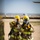 MCAS Miramar: Aircraft Rescue and Fire Fighting MCAS Miramar: Aircraft Rescue and Fire Fighting