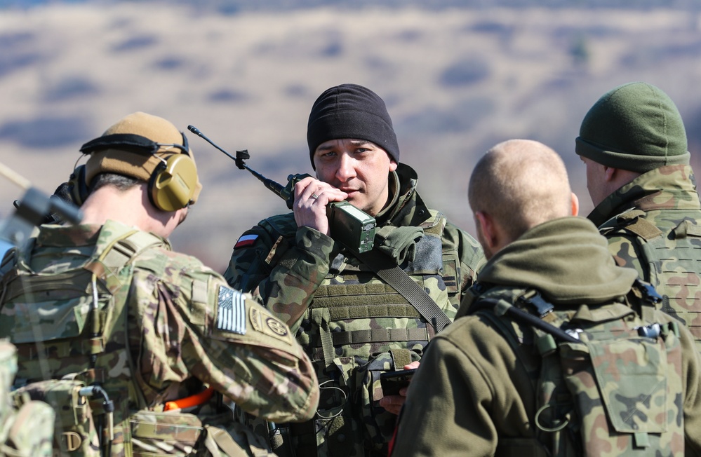 Paratroopers, Polish Allies take part in 'Call for Fires' Training