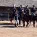 Horse and Soldier training