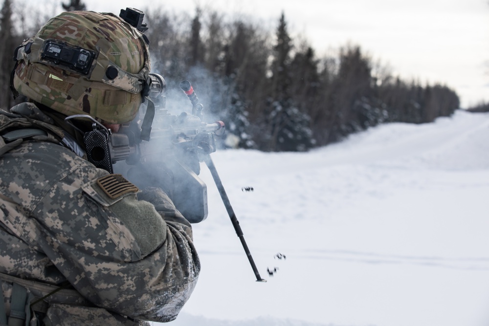 Arctic Wolves Defend Their Battle Position