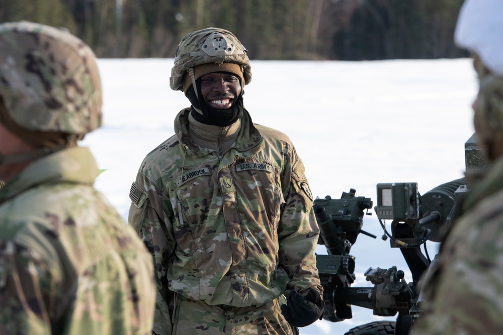 Spartan paratroopers conduct live-fire artillery training