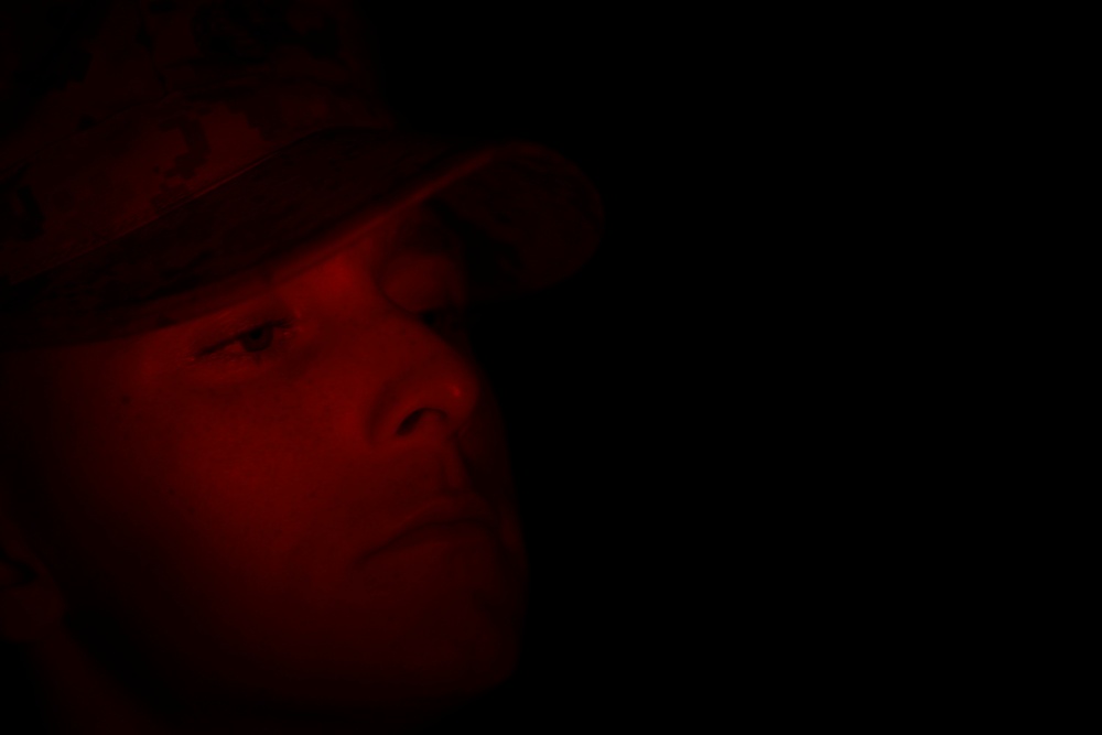 Mike Company Firewatch