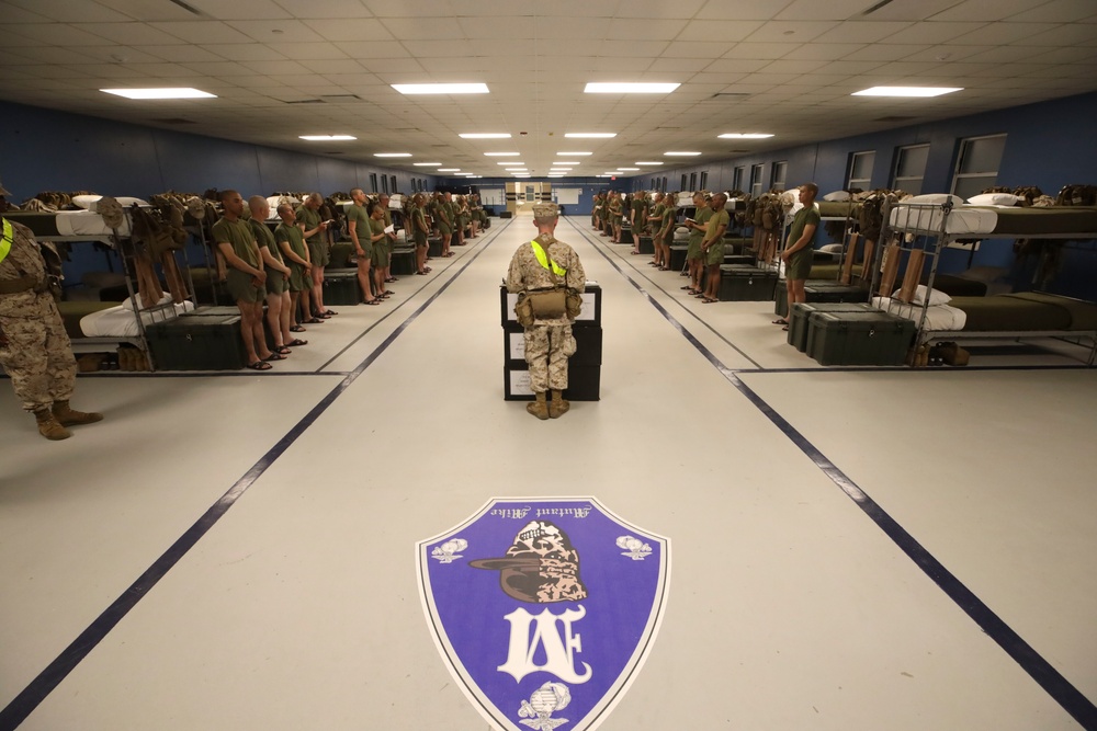 Mike Company Firewatch