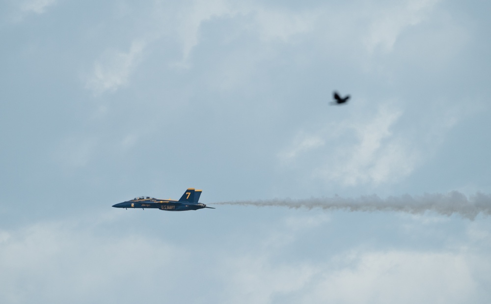 U.S. Navy Blue Angels arrive at MacDill AFB for Tampa Bay AirFest