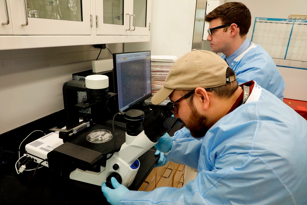NMRC's Combat Wounds Infections Division laboratory