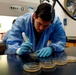 NMRC's Combat Wounds Infections Division laboratory