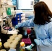 NMRC's Combat Wounds Infections Division laboratory