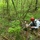 Regulatory Division facilitates environmental stewardship