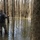Regulatory Division facilitates environmental stewardship