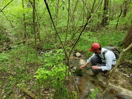 Regulatory Division facilitates environmental stewardship