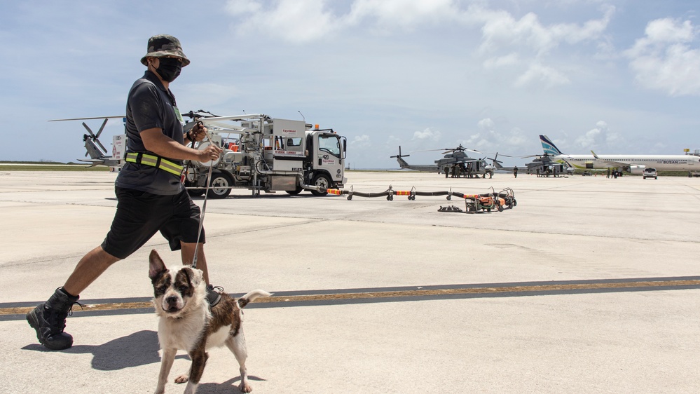 ACE takes flight in Guam