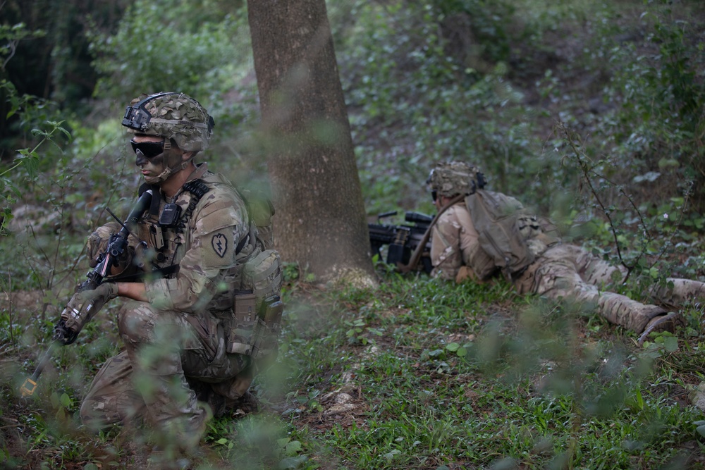 Salaknib Company D 2/27 CALFEX