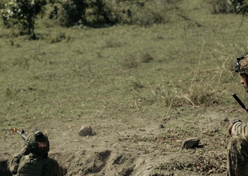 Salaknib Company D 2/27 CALFEX