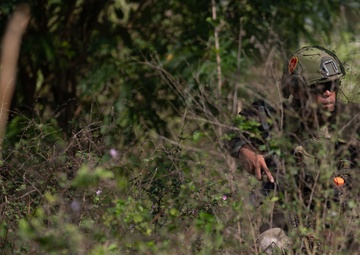 Salaknib Company D 2/27 CALFEX