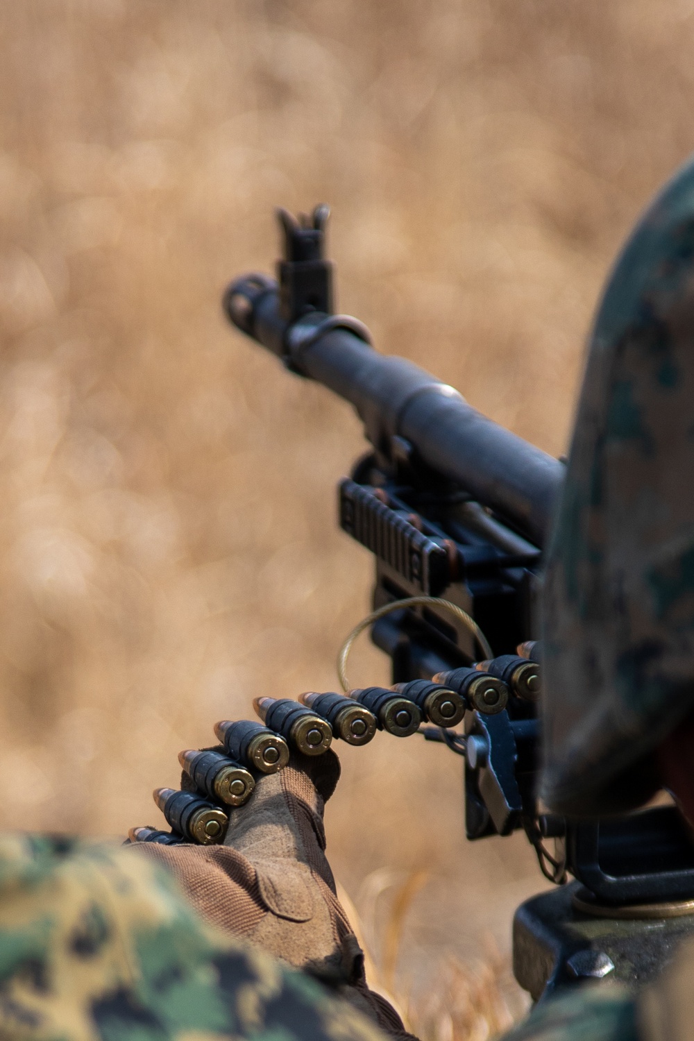 Exercise Tanuki Wrath 2022: machine gun range