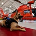 Coast Guard K-9s and their handlers perform K-9 hoisting operations