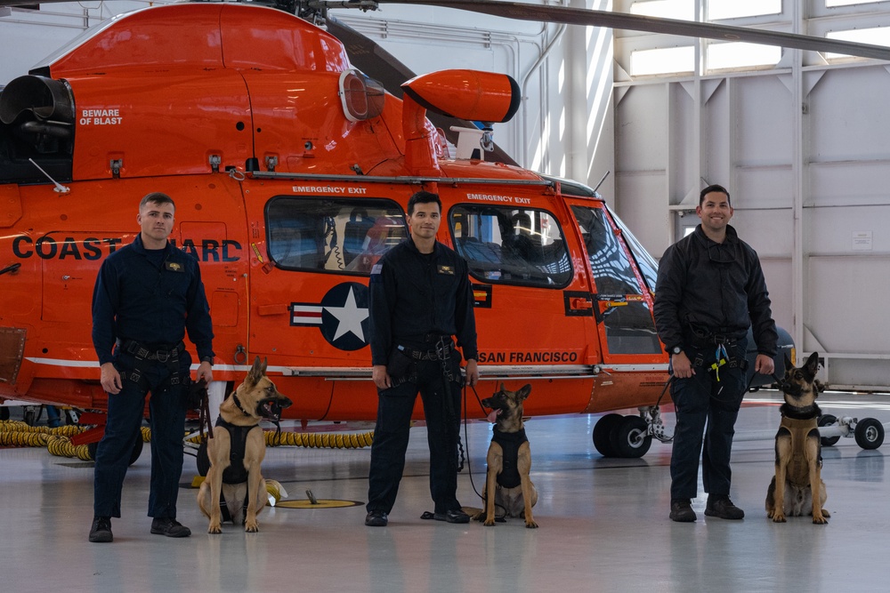 Coast Guard K-9s and their handlers perform K-9 hoisting operations