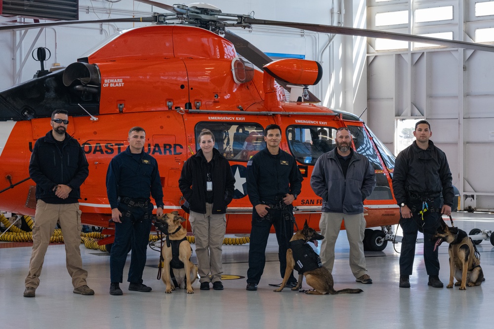 Coast Guard K-9s and their handlers perform K-9 hoisting operations