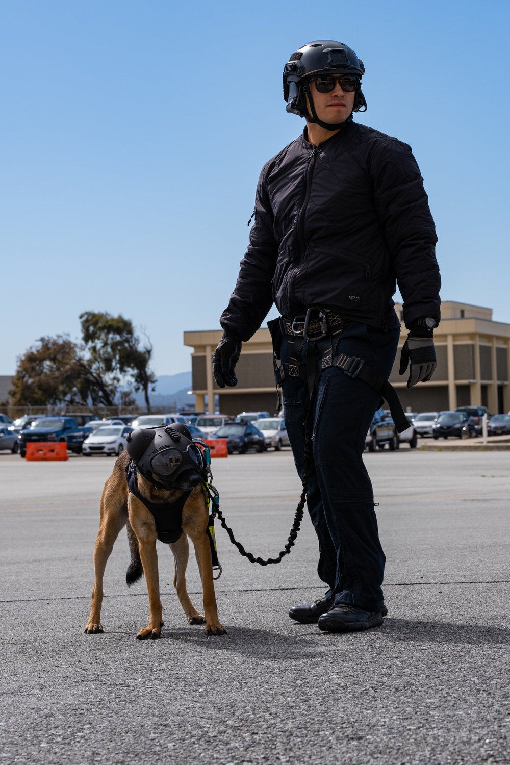 Coast Guard K-9s and their handlers perform K-9 hoisting operations