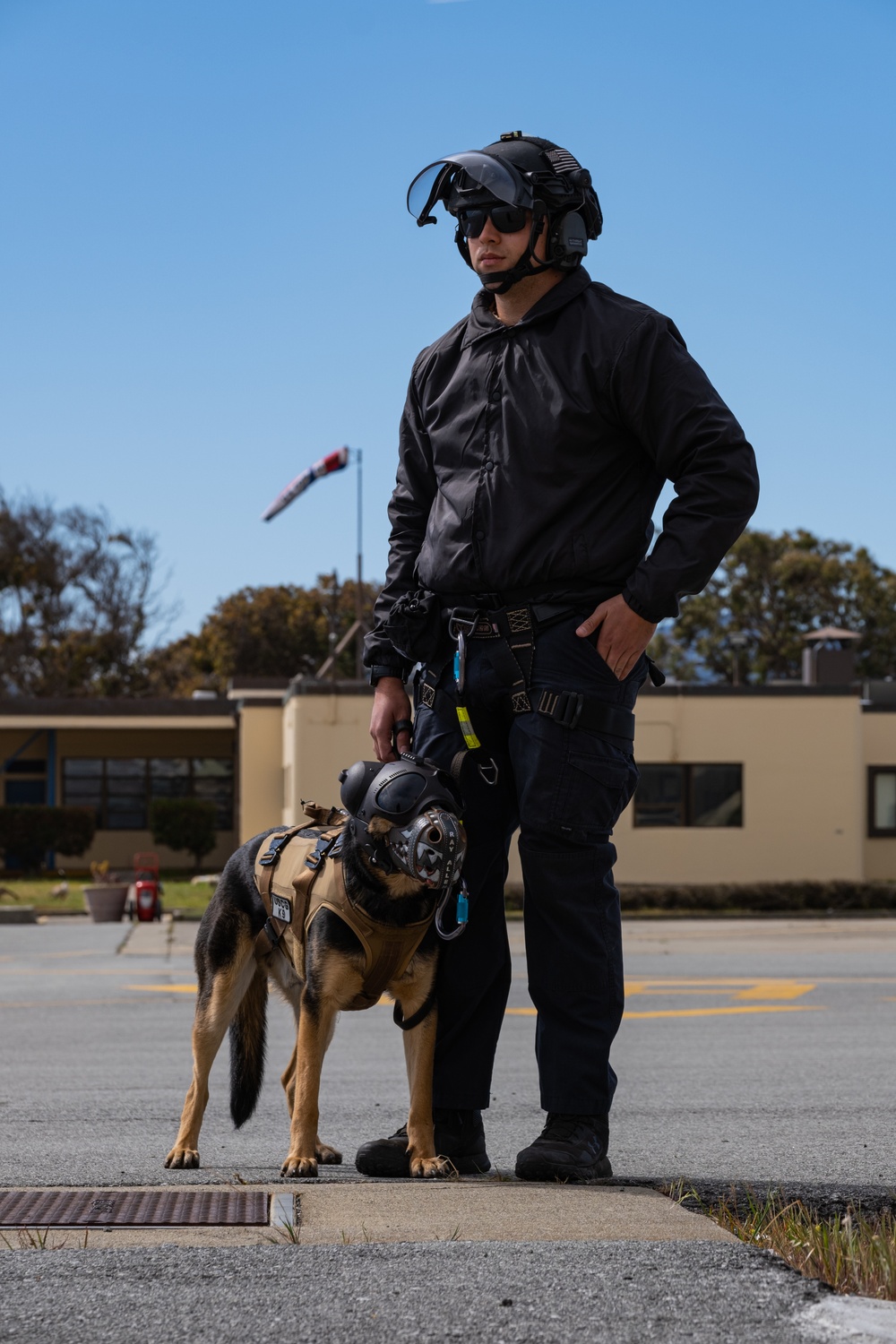 Coast Guard K-9s and their handlers perform K-9 hoisting operations