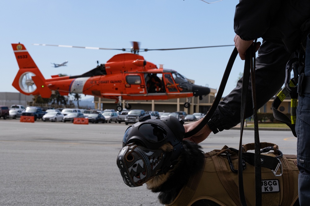 Coast Guard K-9s and their handlers perform K-9 hoisting operations