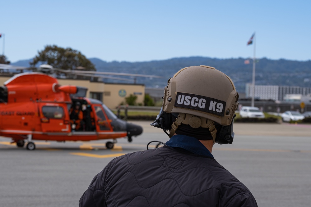 Coast Guard K-9s and their handlers perform K-9 hoisting operations