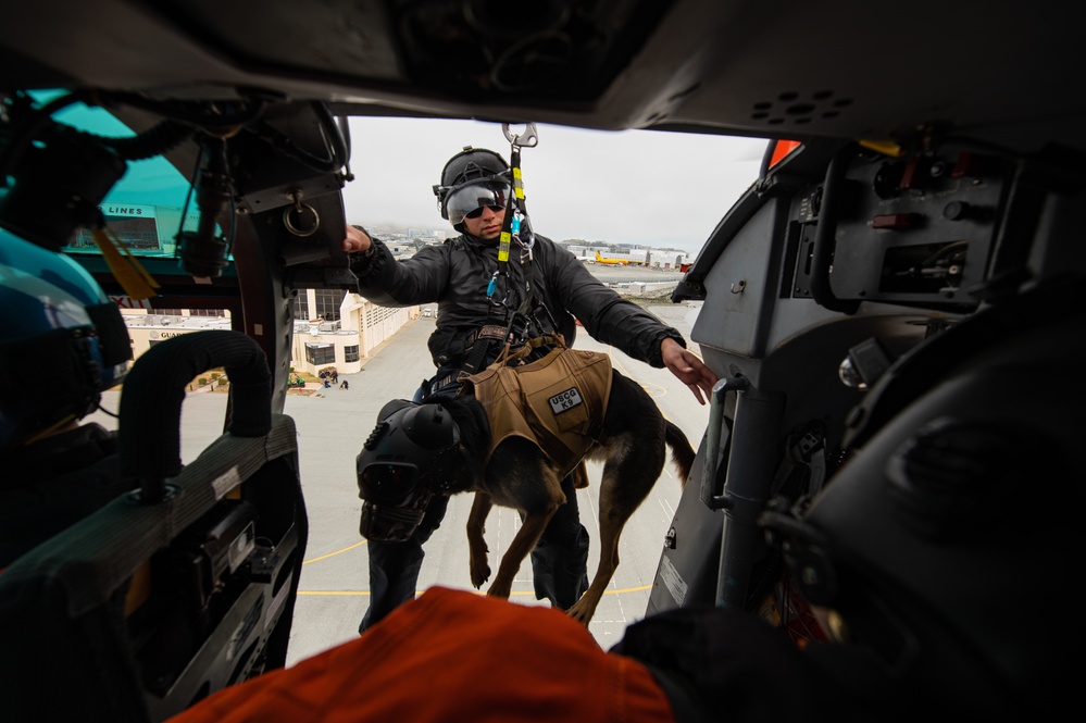 Coast Guard K-9s and their handlers perform K-9 hoisting operations