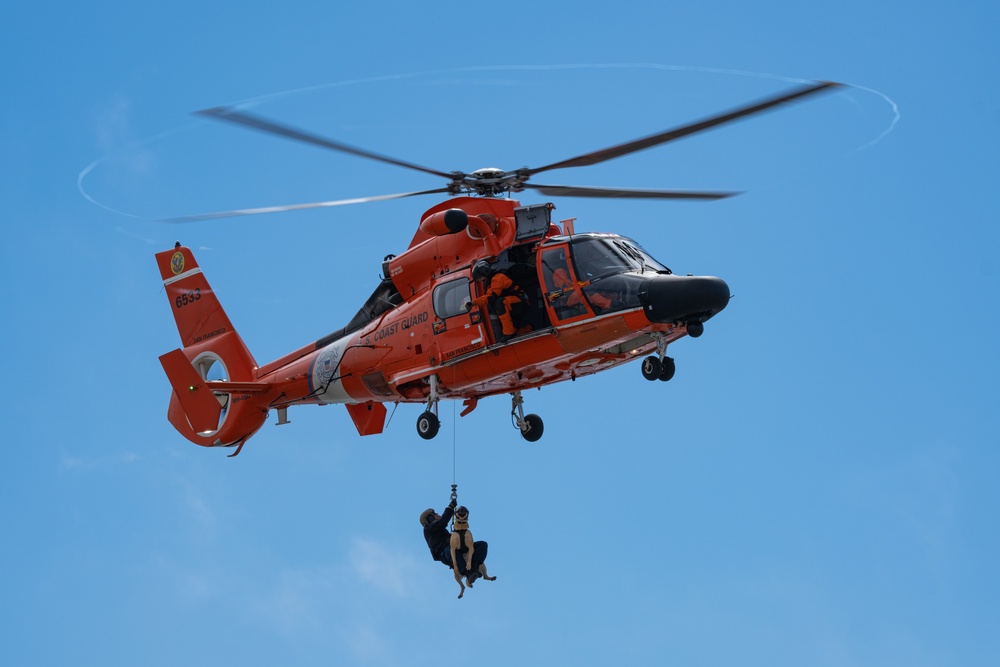 Coast Guard K-9s and their handlers perform K-9 hoisting operations