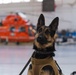 Coast Guard K-9s and their handlers perform K-9 hoisting operations