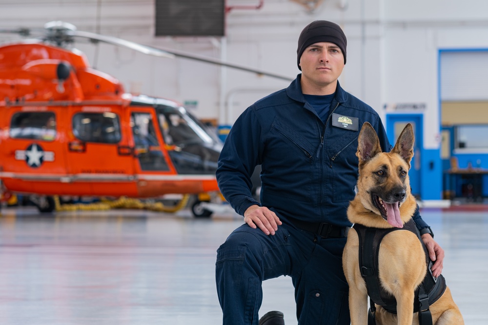 Coast Guard K-9s and their handlers perform K-9 hoisting operations